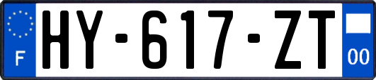 HY-617-ZT