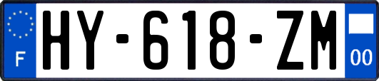 HY-618-ZM