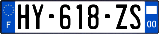 HY-618-ZS