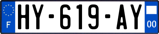 HY-619-AY