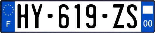 HY-619-ZS