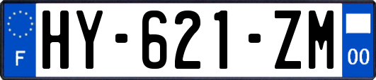 HY-621-ZM