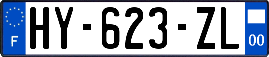 HY-623-ZL