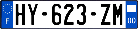 HY-623-ZM