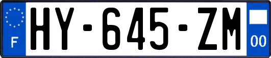 HY-645-ZM