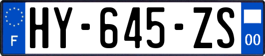 HY-645-ZS