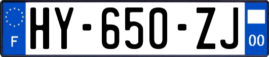 HY-650-ZJ