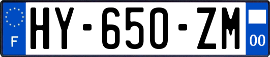 HY-650-ZM