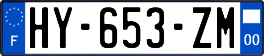 HY-653-ZM