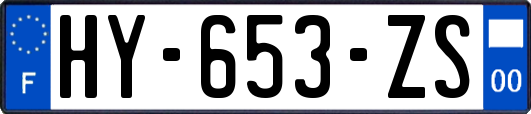 HY-653-ZS