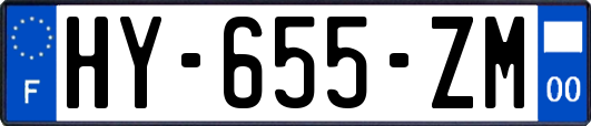 HY-655-ZM