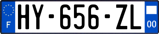 HY-656-ZL