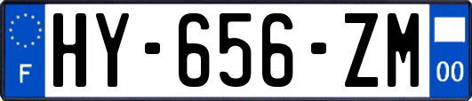 HY-656-ZM
