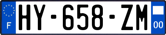 HY-658-ZM