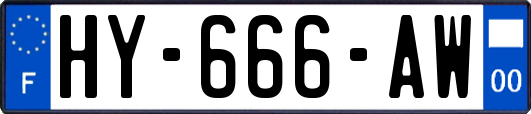 HY-666-AW