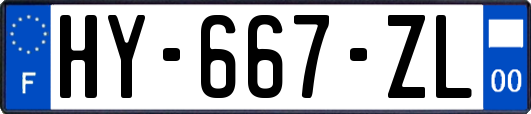 HY-667-ZL