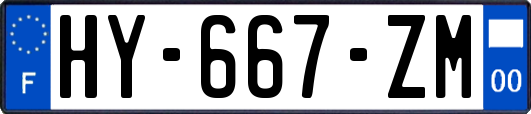 HY-667-ZM