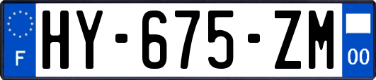 HY-675-ZM