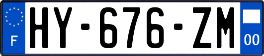 HY-676-ZM