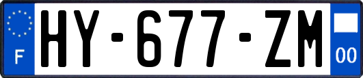 HY-677-ZM