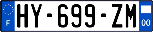 HY-699-ZM