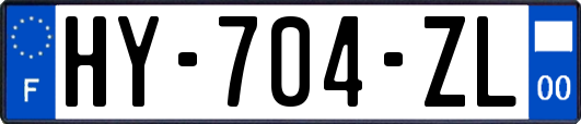 HY-704-ZL