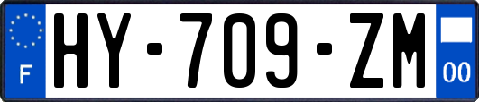 HY-709-ZM