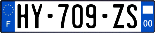 HY-709-ZS