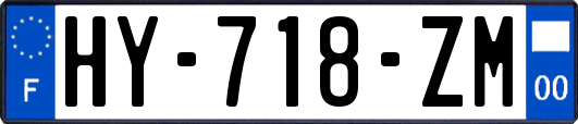 HY-718-ZM