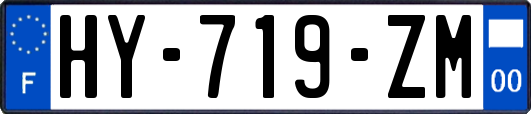 HY-719-ZM