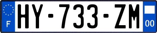 HY-733-ZM