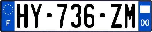 HY-736-ZM