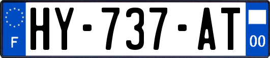 HY-737-AT
