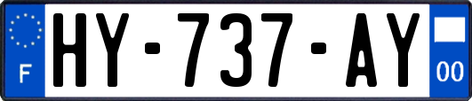 HY-737-AY