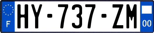 HY-737-ZM
