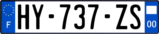 HY-737-ZS