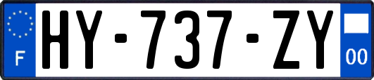 HY-737-ZY