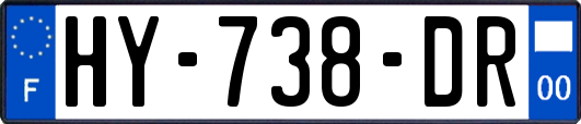 HY-738-DR