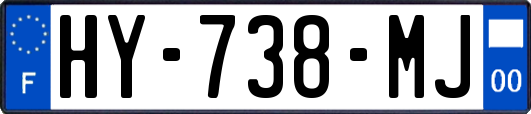 HY-738-MJ