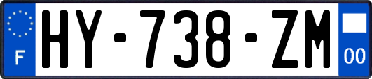 HY-738-ZM