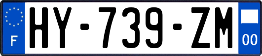HY-739-ZM