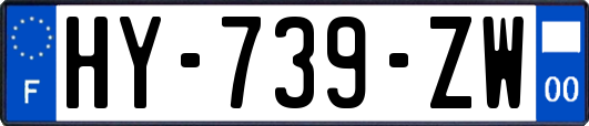 HY-739-ZW