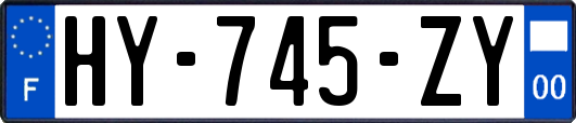 HY-745-ZY