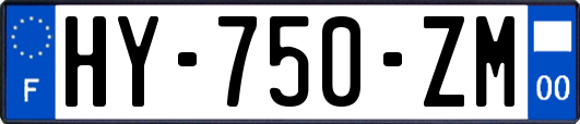 HY-750-ZM