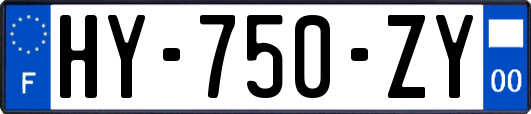 HY-750-ZY