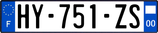 HY-751-ZS