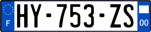 HY-753-ZS