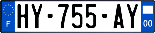 HY-755-AY