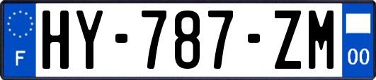 HY-787-ZM