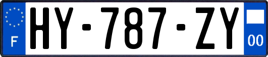 HY-787-ZY